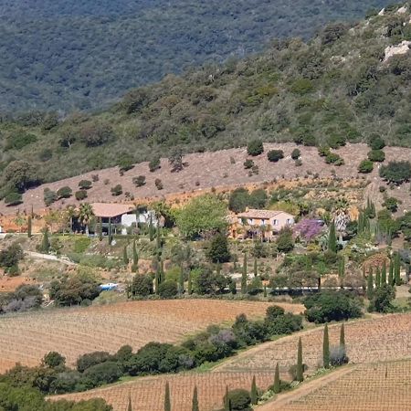 Bel Appart Style Vintage Vue Mer La Londe-les-Maures Esterno foto
