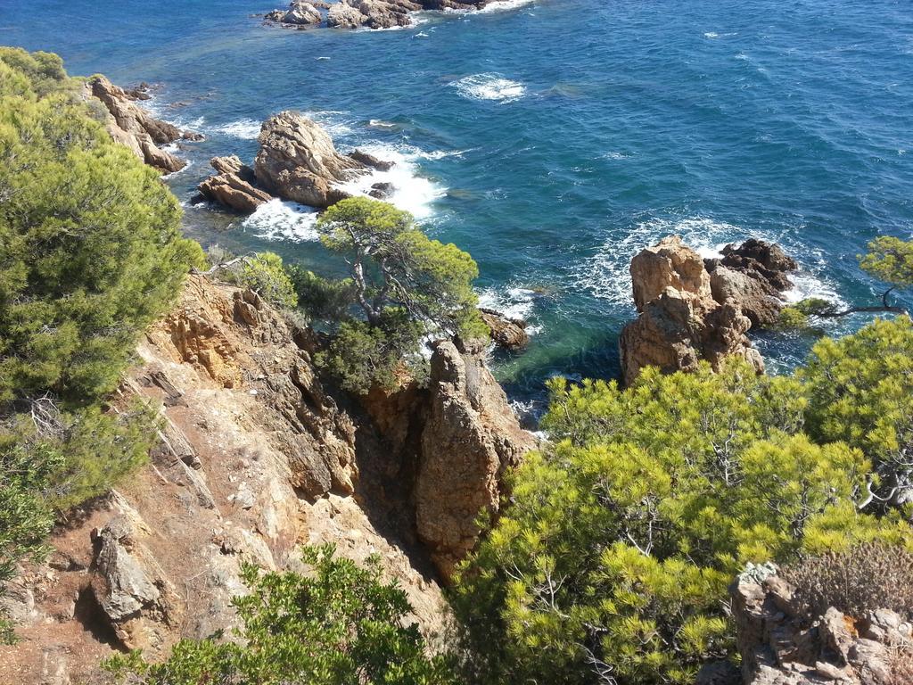 Bel Appart Style Vintage Vue Mer La Londe-les-Maures Esterno foto