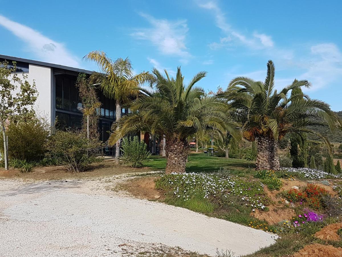Bel Appart Style Vintage Vue Mer La Londe-les-Maures Esterno foto